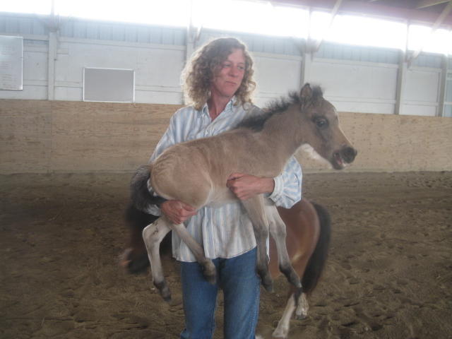 Pecos Bill Pecos Bill in-arms