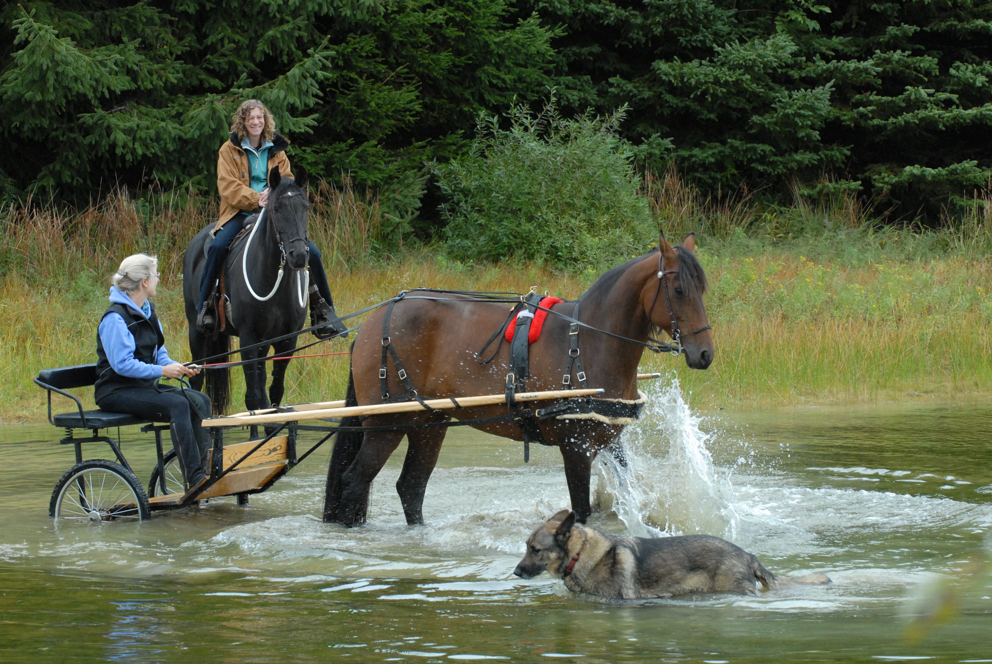 Natural Driving on the Ellicottville, NY, Ranch